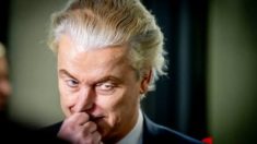 Wilders