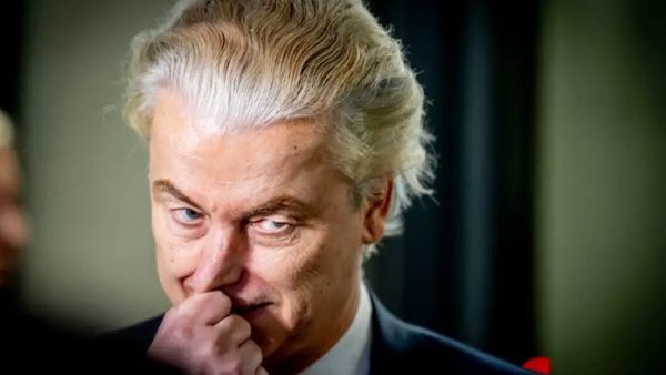Wilders