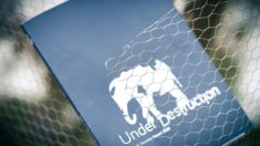 Conférence de Munich